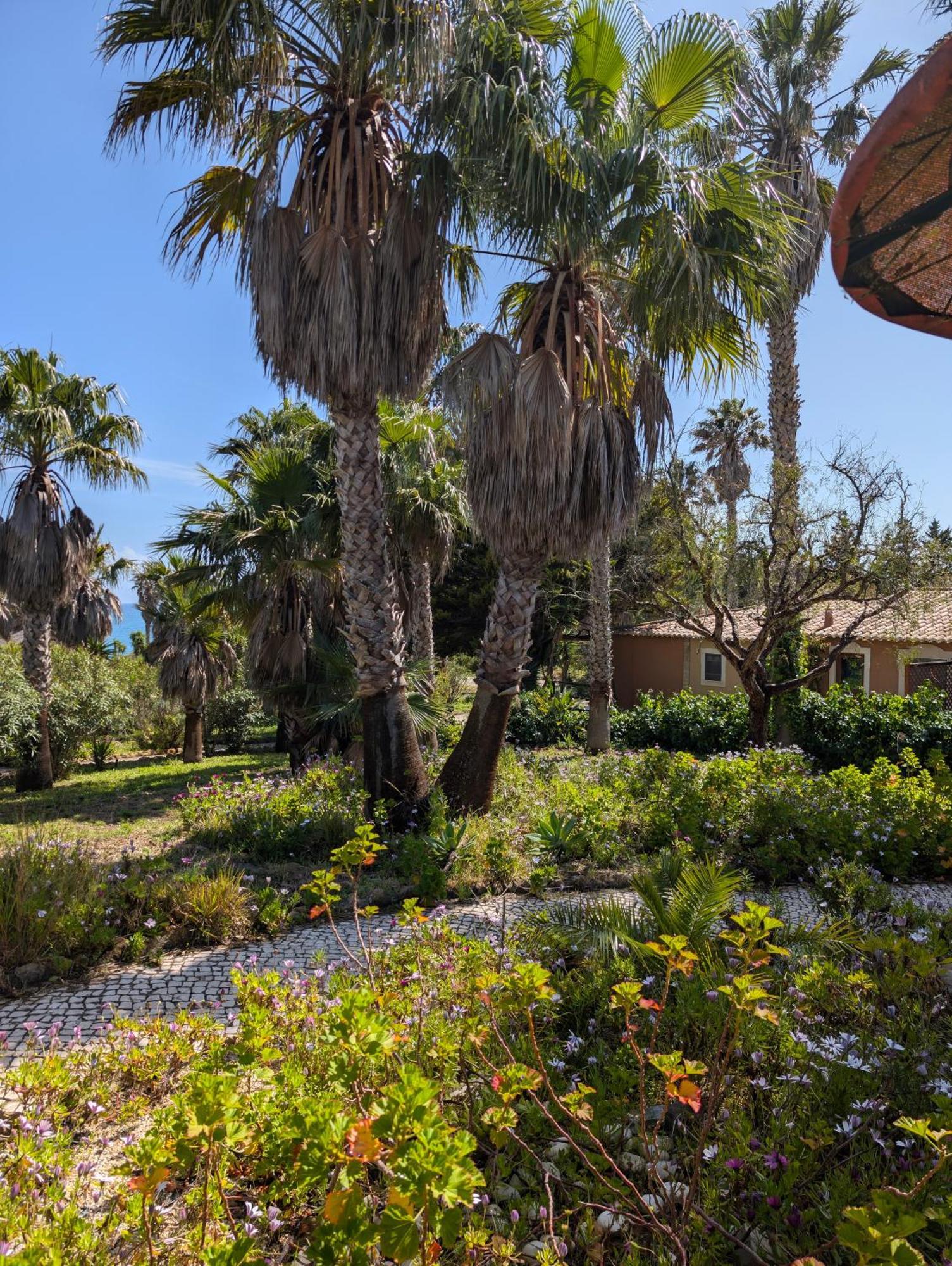 Quinta Do Mar - Country & Sea Village Praia Da Luz Ngoại thất bức ảnh