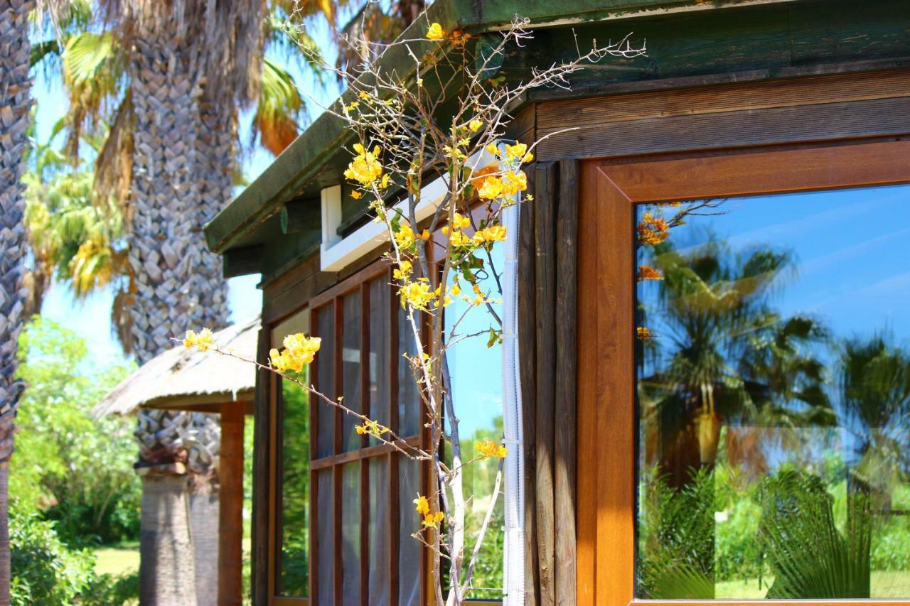 Quinta Do Mar - Country & Sea Village Praia Da Luz Ngoại thất bức ảnh